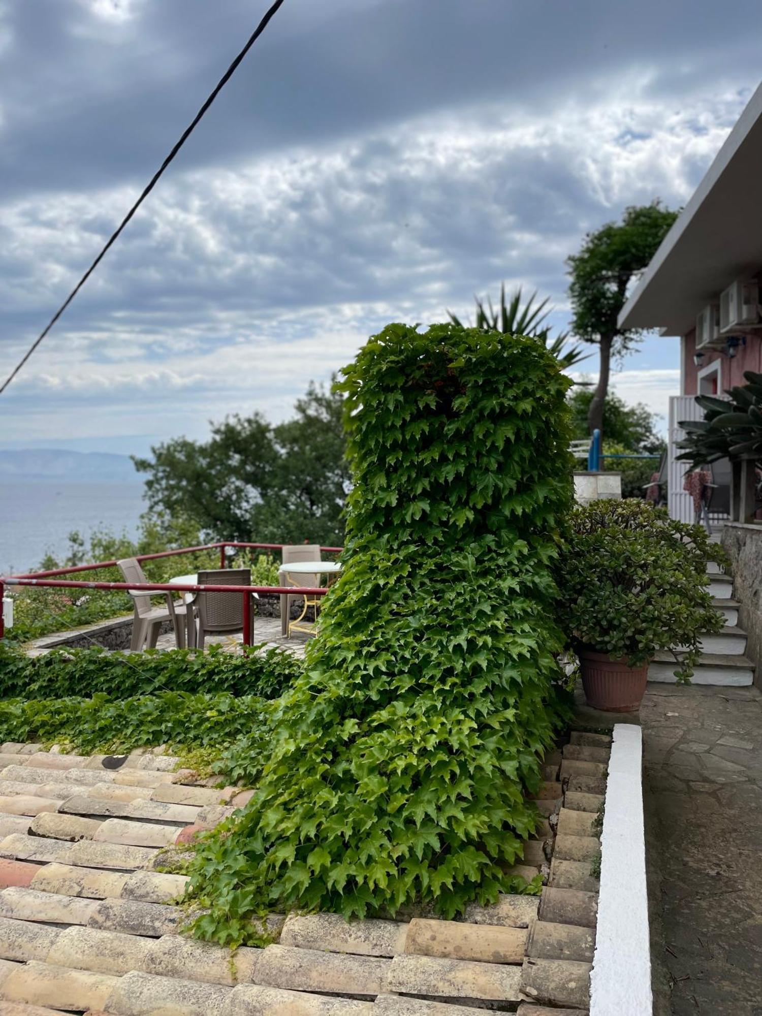 Kontos Mansion Daire Benitses  Dış mekan fotoğraf